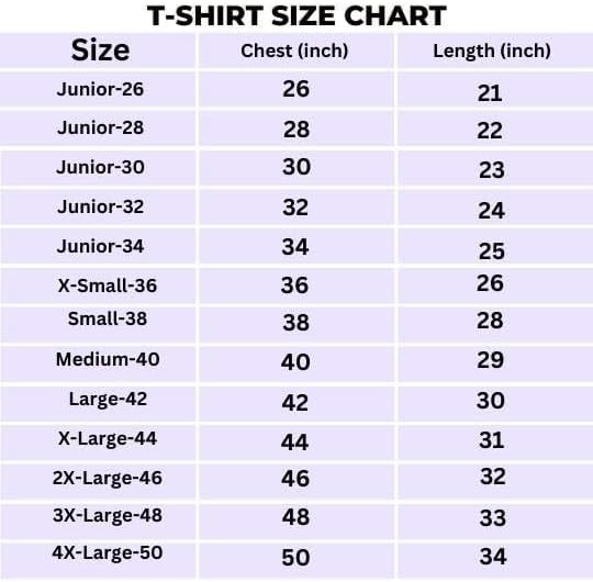 Lucknow Super Giants 2025 IPL Replica jersey (LSG 2025 With Name Personalization)